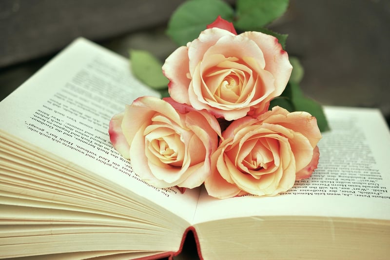 Enchanted Spell Book